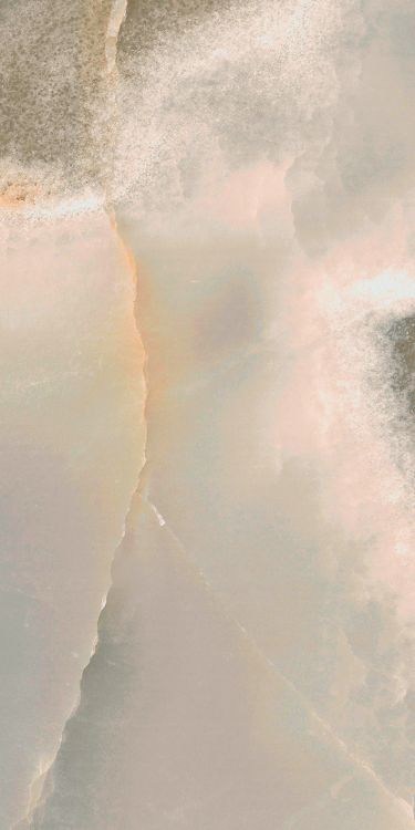 Reves Noisette Matte 12 x 24